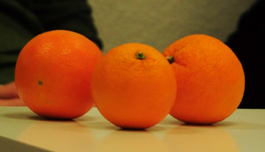 „Die Liebe zu den drei Orangen“ – Orangen in der City-Werkstatt
