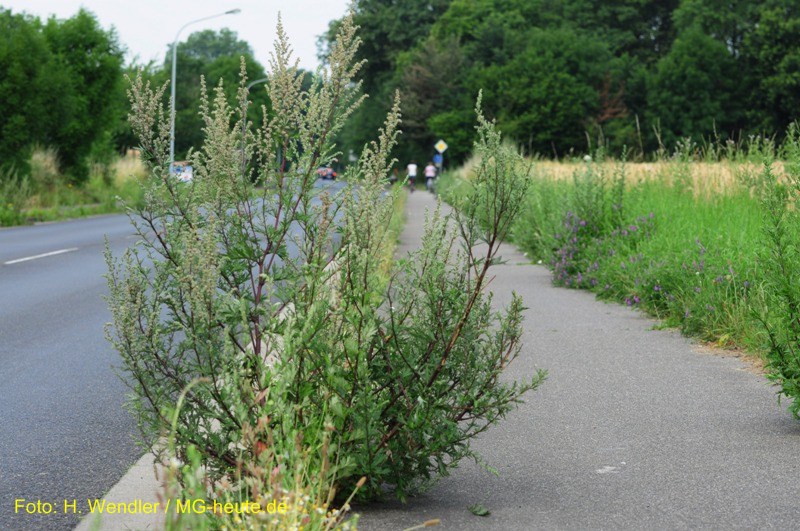Straßenreinigung von “Straßen.NRW” ist wohl schon in den Ferien [mit Bildergalerie]