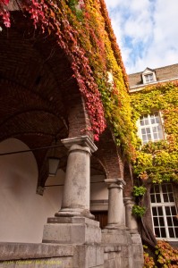 Rathaus-im-Herbst (Kopie)