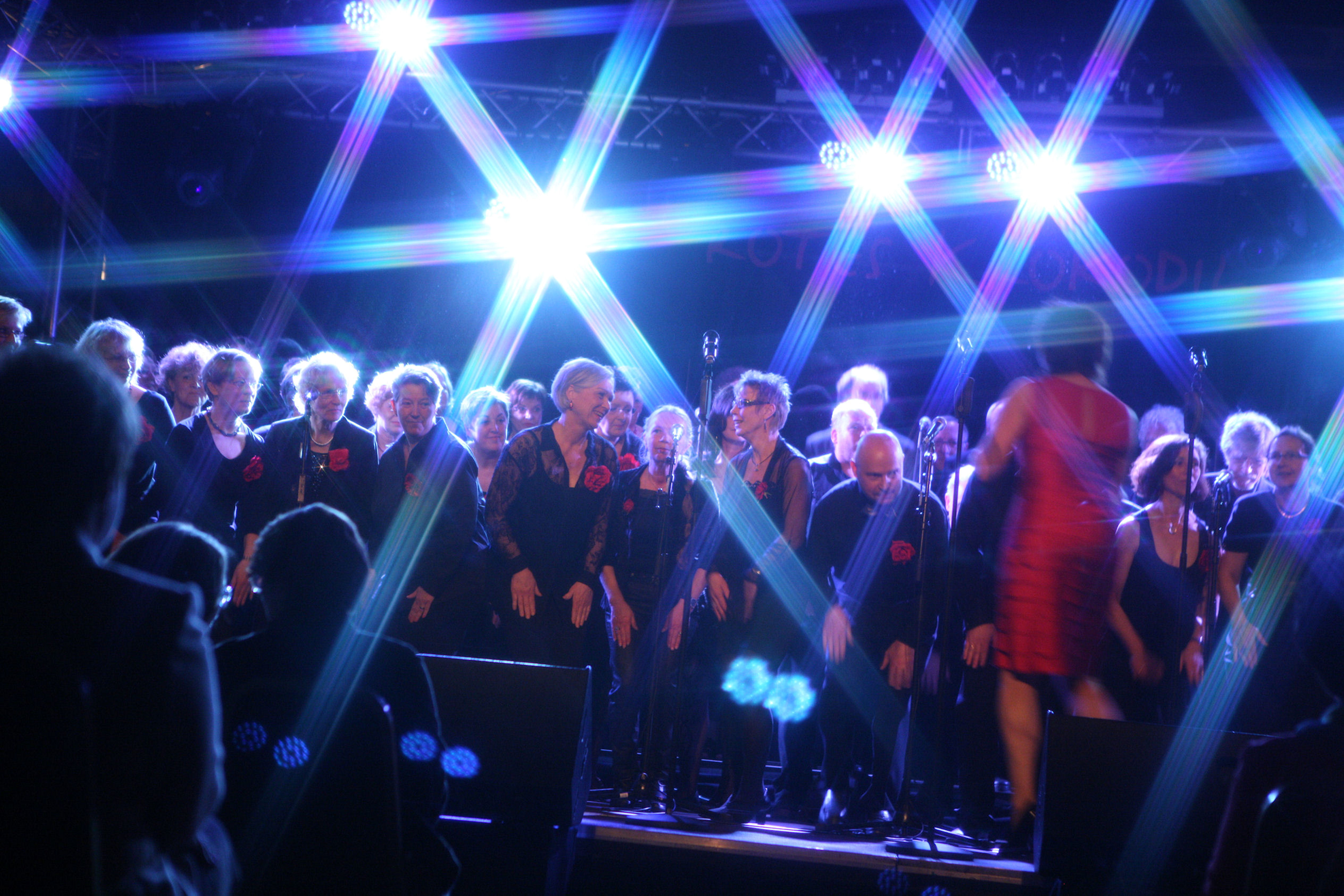 „groove!night 2013“  … ein chor rockt das krokodil …