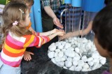 IMG_8124 IMG_8124