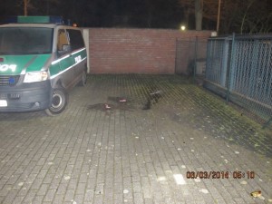 bild0008