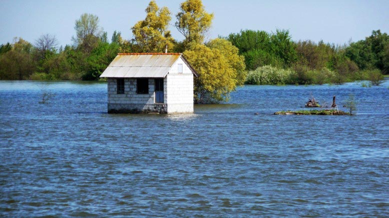 Immer auf demselben Fluss