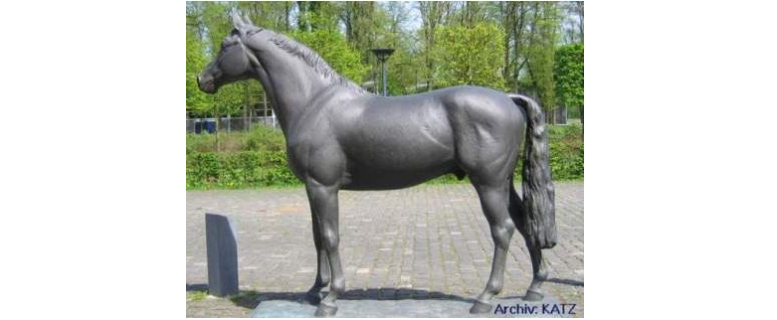 Seit Anfang Januar greift eine neue Reitregelung – Stadt schränkt Reiten ein