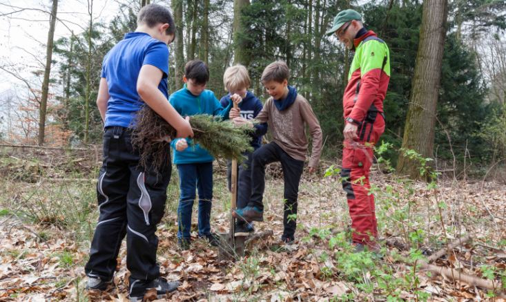 Schüler pflanzten 400 Bäume im Hardter Wald
