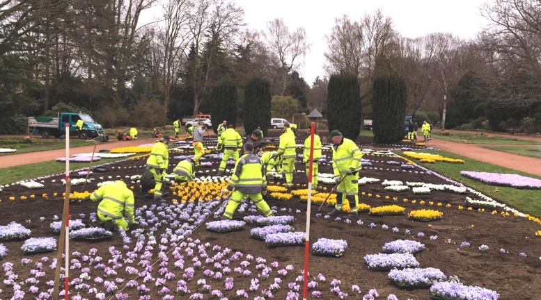 27.000 Stiefmütterchen läuten den Frühling in Mönchengladbach ein