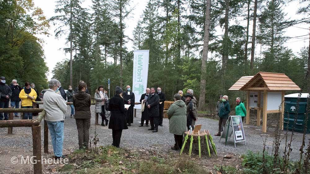 Ein FriedWald im Elmpter Wald – auch für Mönchengladbacher interessant