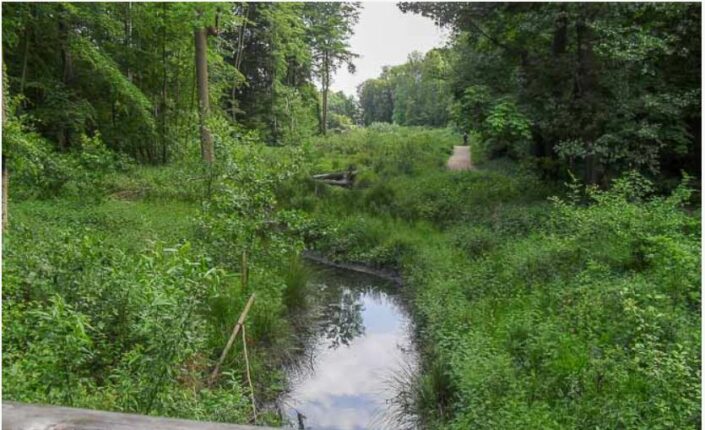 Naturschutzwart(in) für Rheindahlen gesucht