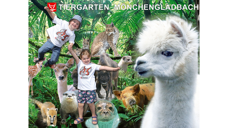 Wasserschlangen über dem Seehundbecken, Buntes im Affenhaus – und Foxy-Shirt im Tiergarten