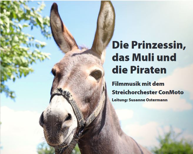 Die Prinzessin, das Muli und der Pirat