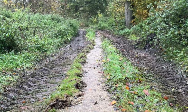 Ernte wird eingefahren…