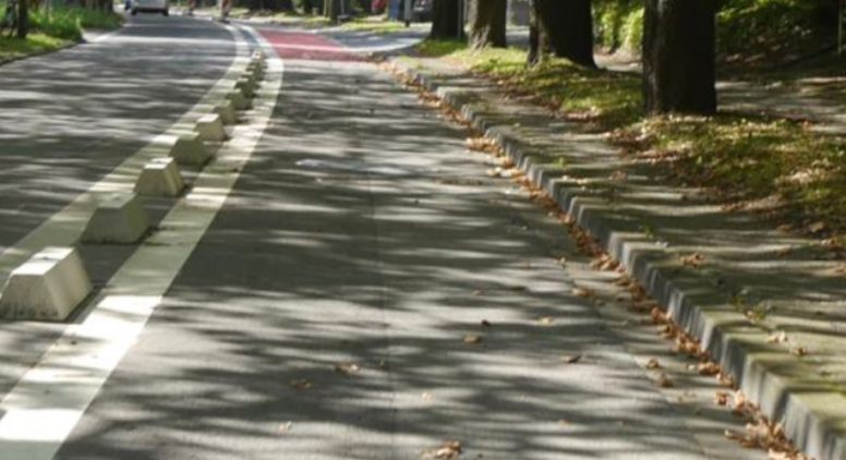 Grüne stehen zur Protected Bike Lane auf der Hohenzollernstraße