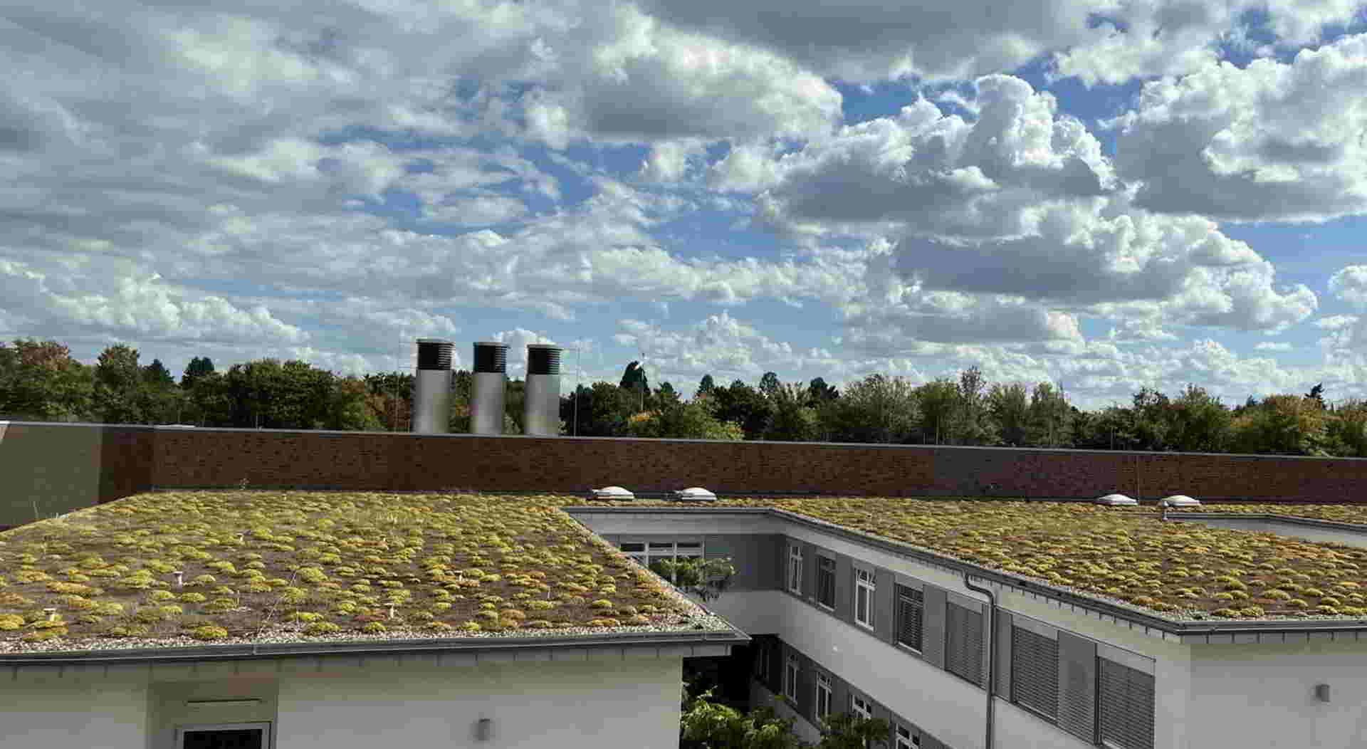 Stadt lädt zu Klimaspaziergängen ein