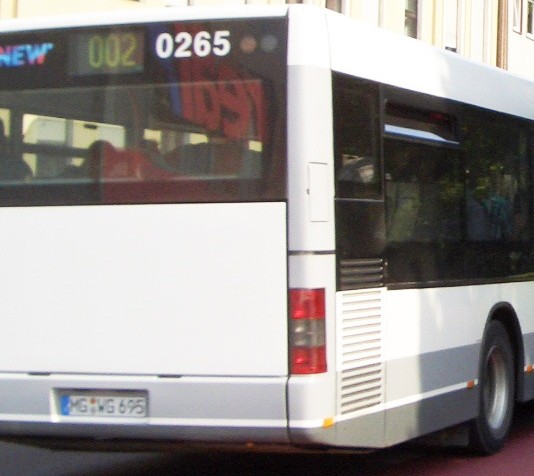 Bußgeld ja, Gefängnis nein