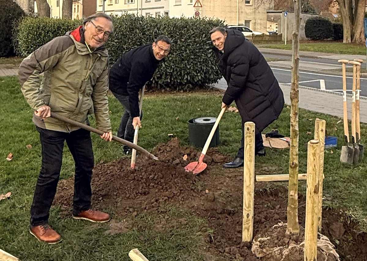 Walnussbaum als Symbol für 40 Jahre grünes Engagement