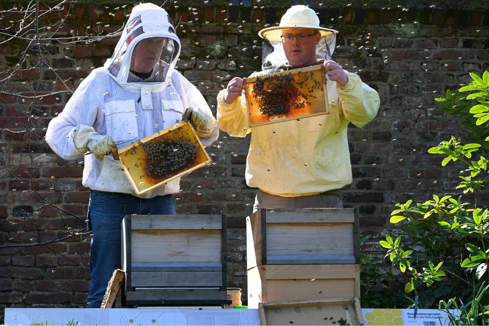 Bienen als Bio-Sensoren?