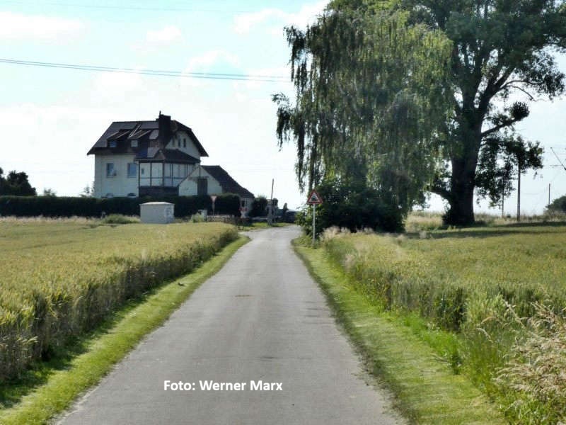 Unbenannter Beitrag 87149
